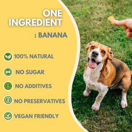 Pets Gone Wild Freeze-Dried Banana Slices for Dogs, Made from 100% Banana with No Added Sugar, Freeze-Dried, Vegan Dog Treats with no Preservatives, 40g(1.41oz) Perfect for Travel, Training, and Home