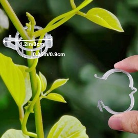 Pack of 250 Plastic Tomato Clips, Tomato Clips, Connecting Plant Clips, Vine Clips, Plant Clips, Plant Secure, Tomato Clips Connect Pepper Cucumber Vines, for Plant Securing (B)
