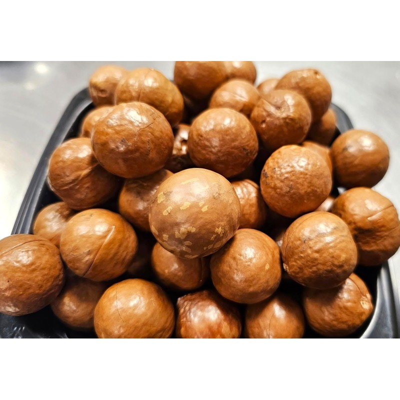 Macadamia Nuts - In shell (whole) (2 LB)