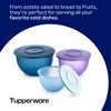 Tupperware Impressions Classic 3 Piece Food Storage Bowl Set in