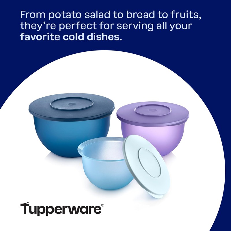 Tupperware Impressions Classic 3 Piece Food Storage Bowl Set in