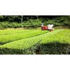 [2024 New Tea] Ureshino Tea Special Selection Set of 2