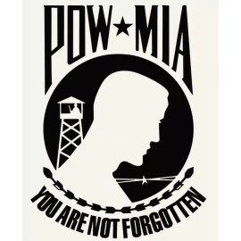 Egl Silver POW MIA Military Decal Sticker Graphic for Car Truck SUV Window 5yr
