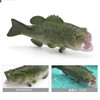 Neko Kamiyama, Black Bass, Large Mouth Bus, River Sakana, Lake