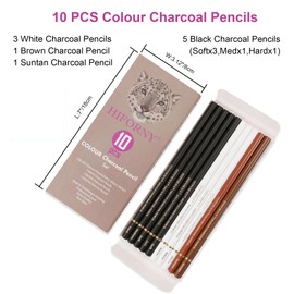 HIFORNY 10 Pieces Colored Charcoal Pencils for drawing- Black White Charcoal Pencils for Sketching,Shading,Blending,Portrait - Ideal for Beginners & Artists