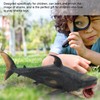 Sharks Model Simulation Marine Ocean Sea Life Toy Animal Rare
