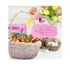 Easter Jelly Beans Candy for Basket Stuffers - (2 -