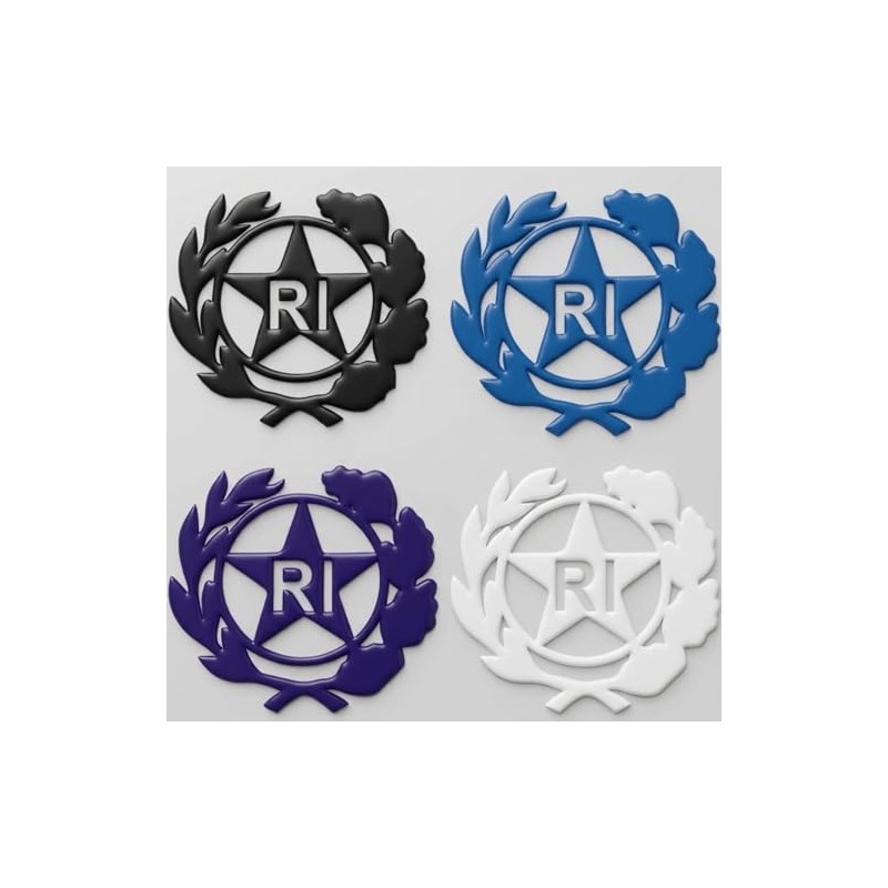 StampaGenerale® Bollino Logo RI (13mm) PVC Effetto 3D Adesivo Transfer