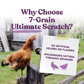 Manna Pro 7-Grain Ultimate Chicken Scratch – Non-GMO Scratch Grain Treat for Chickens, Hens and Other Birds – Natural Multigrain Blend for Poultry and Backyard Flocks – 10 lb Bag