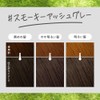 Liese Bubble Color Smoky Ash Gray Hair Color for Black