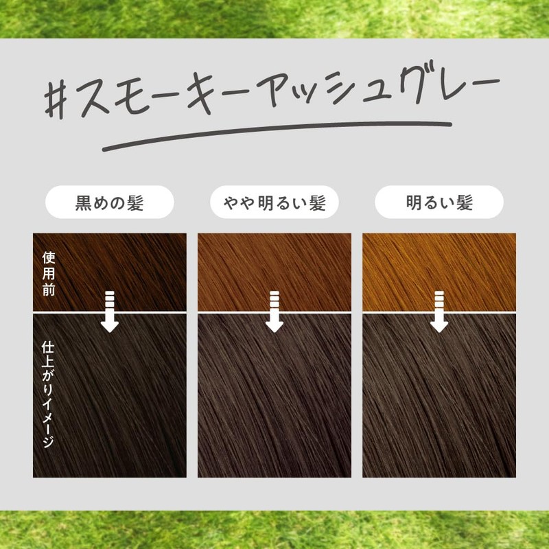 Liese Bubble Color Smoky Ash Gray Hair Color for Black