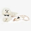 Santa Barbara Design Studio Faux Saffiano Leather Pet Leash, 72"
