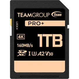 TEAMGROUP PRO - Tarjeta de memoria SDXC UHS-I U3 A2 V30 4K UHD de hasta 160120MBs para vloggers profesionales, cineastas, fotógrafos y curadores de