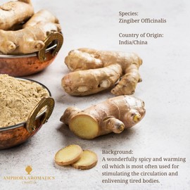 Amphora Aromatics Ginger Essential Oil 10ml