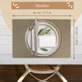 Mondiroso. Set of 6 Placemats, Washable Non-Slip Placemats for Dining Table and Kitchen (6 Pieces, Dark Grey, Charcoal)