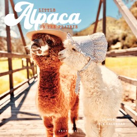 Graphique 2026 Little Alpaca on the Prairie Wall Calendar | 12” x 12” | Thick Paper | Home & Office Organizer | Large Monthly Grid | 3 Languages & Marked Holidays | 4 Month Preview Page for 2027
