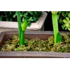 SuperMoss 23820 Mountain Moss Green Sphagnum, Mini Bale, Natural Dried
