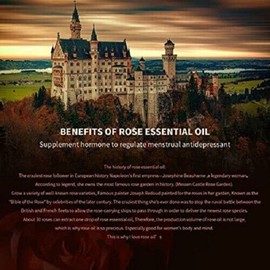 EKAMSS Extract of plant essential oils spa steam eye mask-Rose