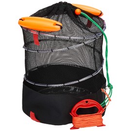 Alive KG-118 Spring Hydrangea Live Big