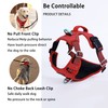 Funfox Medium Dog Harness No Pull, Adjustable Dog Vest for