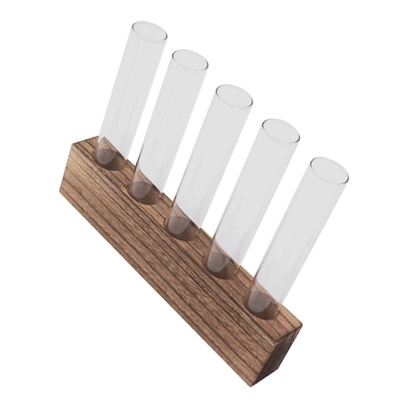Plant Propagation Station, Plant Propagation Tubes Minimalist Look for Desktop