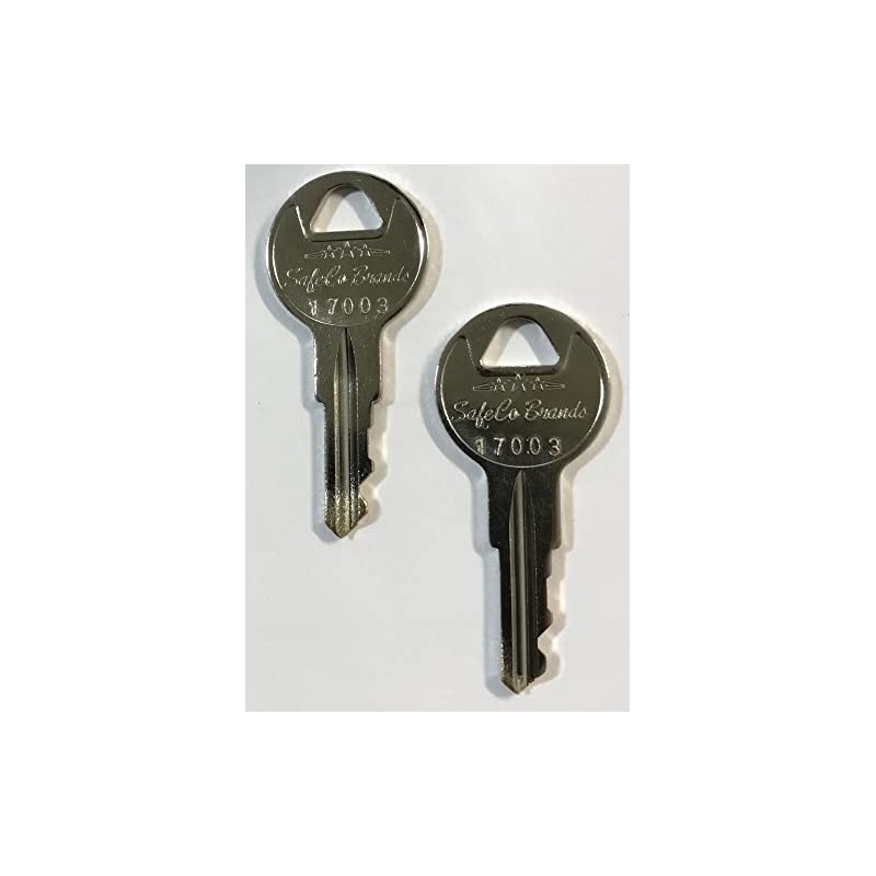 SafeCo Brands Fire Lite Replacement Fire Alarm Keys - 2