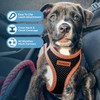 Voyager Step-in Air Dog Harness - All Weather Mesh Step