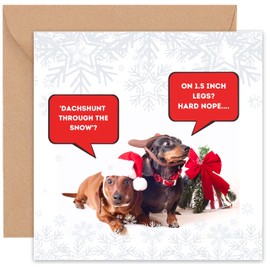 Felbridge Studio - Dachshund Christmas Cards - Xmas Card From The Dog Doggie Pet Pup Fur Baby - Family Friends Mum Grandchildren Husband - 14cm