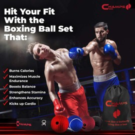 Champs Boxing Reflex Ball - Boxing Equipment Fight Speed, Boxing Gear Punching Ball Great for Reaction Speed and Hand Eye Coordination Training Reflex Bag (Set of 4)