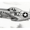 P-51 Mustang "Big Beautiful Doll" Giclee & Iris Art Prints