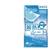 Ice Cool Patch Cool Pack - Summer Cooling Patch, Free Size, Individually Packaged 2) 100ea