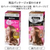 Blaune Bubbles Color Hair Dye