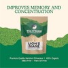 Organic Lion's Mane Powder 250g | Full-Spectrum Extract | Focus