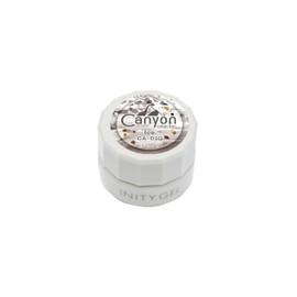 INITY CA-01G Ice Cream