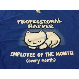 Anvil Boys Casual T Shirt, size XS,  Youth Blue !00% ring spun  cotton  new