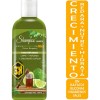 Shampoo Aceite De Bergamota Y Miel 1 Litro Vivonatural &