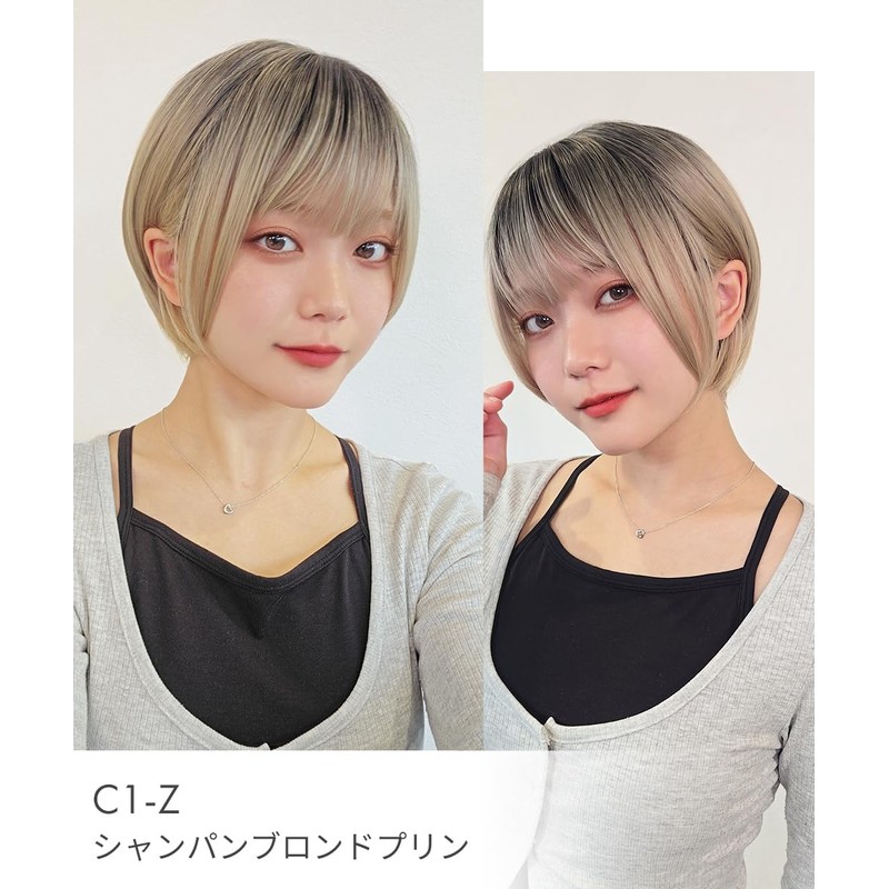 AQUADOL wg357B3 Wig, Short Bob, Tight Straight Inner Color, High