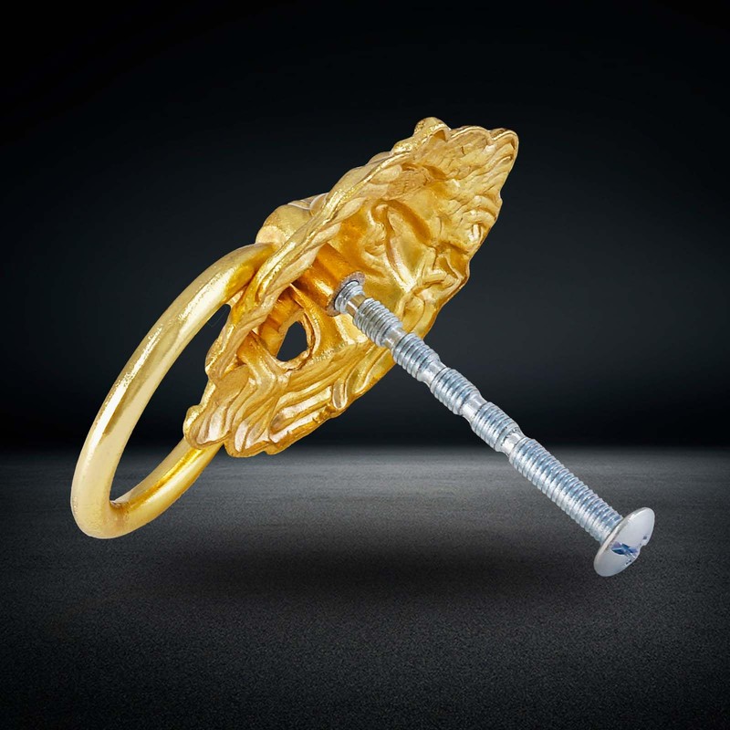 Jiozermi 12 Pcs Lion Head Cabinet Pull Handle, Ring Pulls