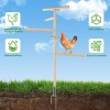 Nature Ann Chicken Perch Toy for Coop, Extra Large Chicken