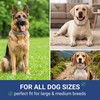 Collare Antiparassitario per Cani 62cm Regolabile - Protezione Efficace contro