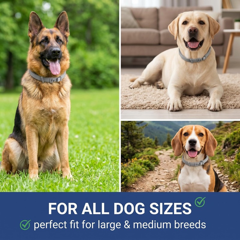 Collare Antiparassitario per Cani 62cm Regolabile - Protezione Efficace contro