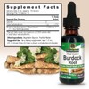 Nature's Answer Burdock Root Extract 1 Ounce - Alcohol Free,