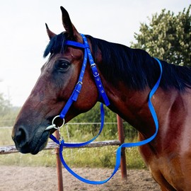 Adjustable Bitless Bridles for Horses, Hobby Horse Bridle,Horse Headstall, Draft Horse Bridle (Blue, S)