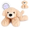 SuzziPals Heatable & Coolable Lying Golden Retriever Stuffed Animal, Heating
