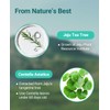 BRING GREEN BRING GREEN TEA TREE CICA TRIAL KIT |