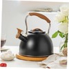 GRIRIW Ergonomic Handle Design Black Whistling Kettle for Heating Tea