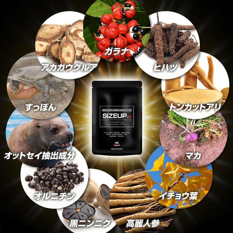 SIZEUP α (サイズアップ アルファ) メンズ 男性 自信 増大 サプリ サプリメント