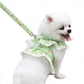 Dog Harness and Lead Set Soft Dogs Flowers Clothes Cat Vest Harness Small Dogs Chest Strap for Walking (S: Green)