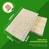 June Lily Natural Kitchen Dish Sponge Vegan Plant-Based for Dish