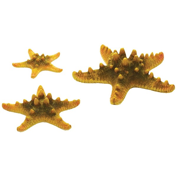 biOrb Ornament Natural Sea Star Set, Yellow
